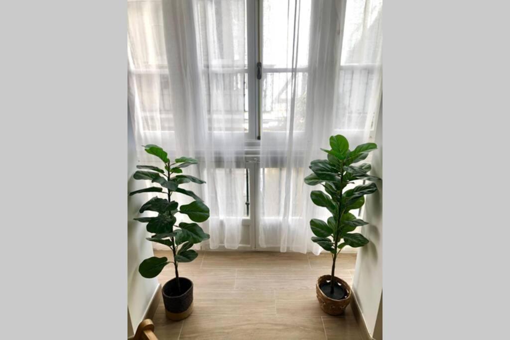 Apartamento Gatu Premium Libertad, Preferente Mayores De 25 Anos Y Familias Cádiz