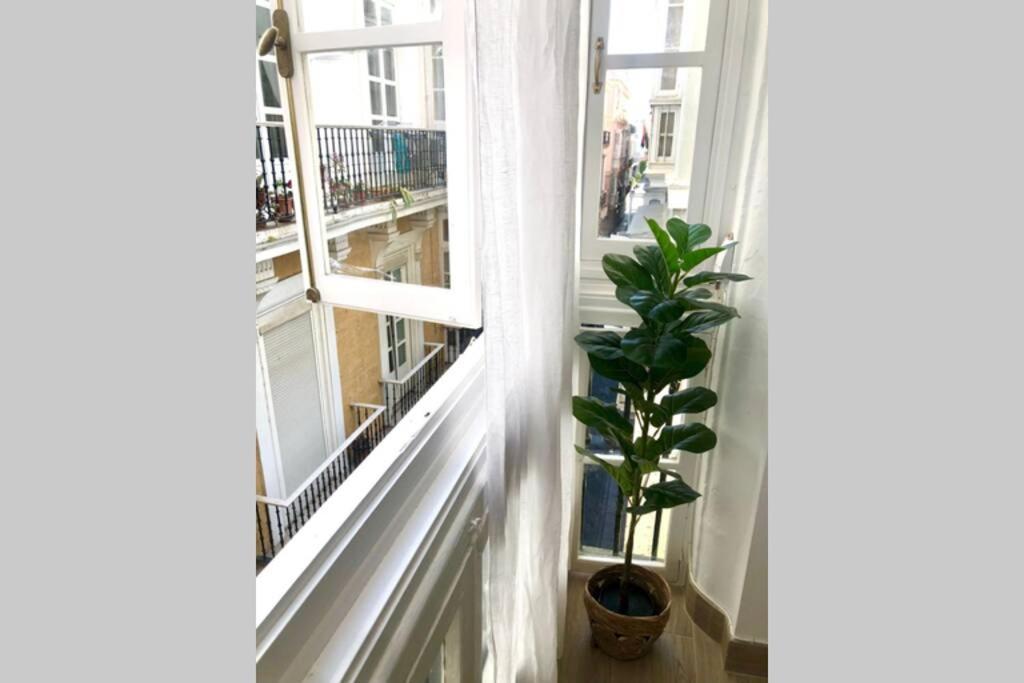 Gatu Premium Libertad, Preferente Mayores De 25 Anos Y Familias Apartamento *